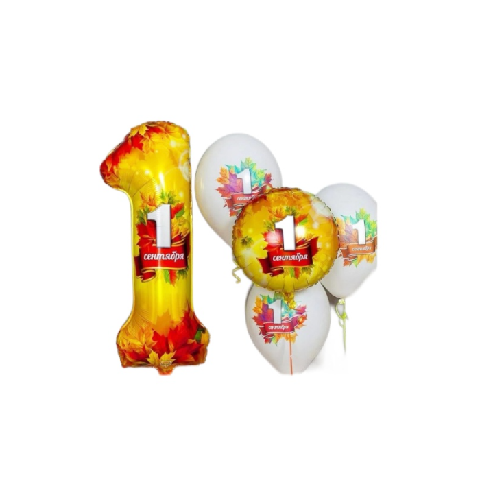 balloonzo 1 sentyabrya set 1 1